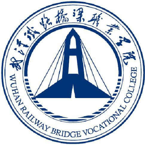 武汉铁路桥梁职业学院2024年在湖南选科要求 各专业选考科目范围要求