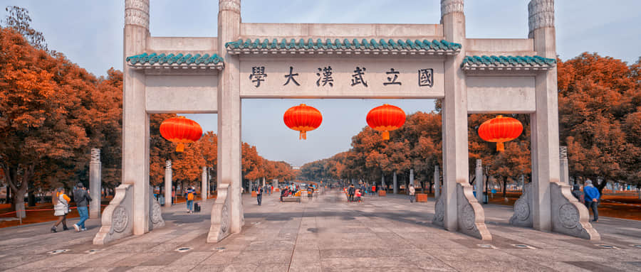 武汉大学强基计划入围分数线2021参考（含招生计划、录取分数线）