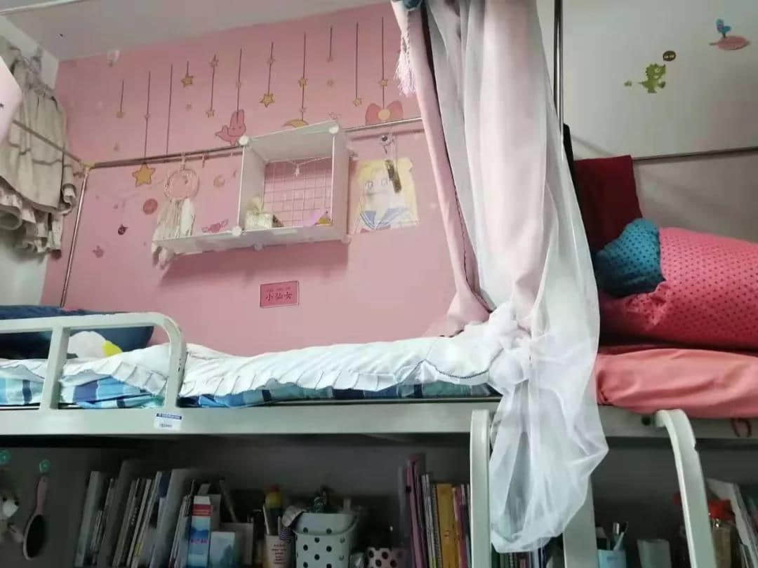天津轻工职业技术学院宿舍条件怎么样—宿舍图片内景