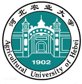 河北农业大学现代科技学院是985还是211大学？