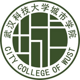 武汉科技大学城市学院是985还是211大学？