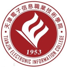 天津电子信息职业技术学院是公办还是民办大学？
