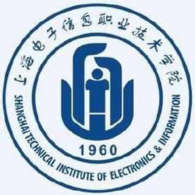 上海电子信息职业技术学院是公办还是民办大学？