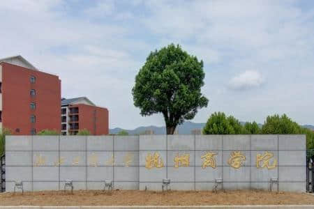 浙江工商大学杭州商学院是公办还是民办大学？