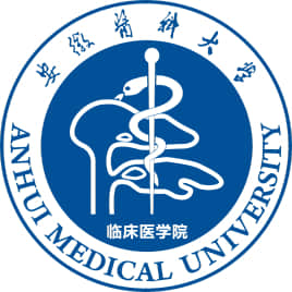 安徽医科大学临床医学院是公办还是民办大学？