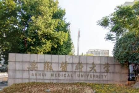 安徽医科大学是双一流大学吗，有哪些双一流学科？