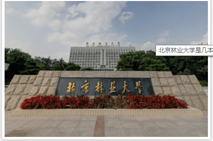 北京林业大学是211大学吗？