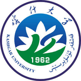 喀什大学是211大学吗？