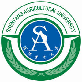 沈阳农业大学是985大学吗？