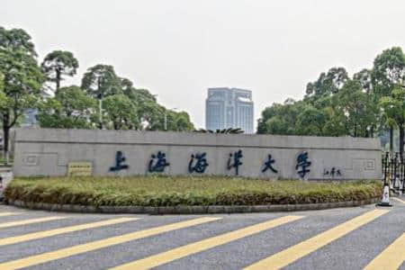 上海海洋大学是985大学吗？