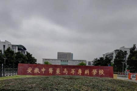2020安徽中医药高等专科学校在浙江招生专业选科要求对照表