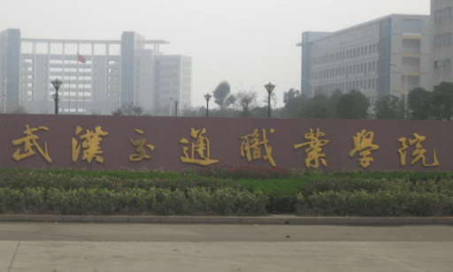 2020武汉交通职业学院在浙江招生专业选科要求对照表