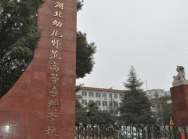 2020湖北幼儿师范高等专科学校在浙江招生专业选科要求对照表