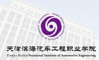 2020年天津滨海汽车工程职业学院选科要求对照表（在山东招生专业）