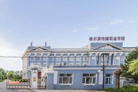 2020年哈尔滨传媒职业学院选科要求对照表（在山东招生专业）