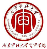 南京审计大学金审学院是985大学吗？