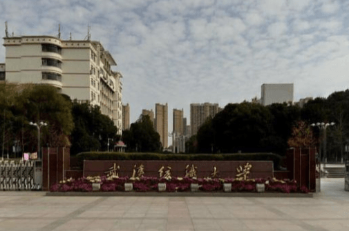 2021年武汉纺织大学选科要求对照表（在湖南招生专业）