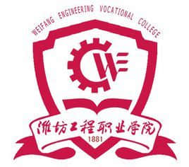2021潍坊工程职业学院中外合作办学专业有哪些？