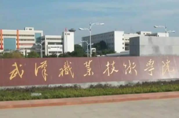 2021年武汉职业技术学院录取规则