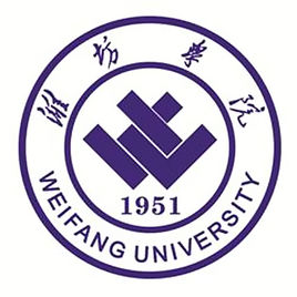 2021年潍坊学院中外合作办学分数线（含2019-2020年）