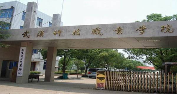 武汉科技职业学院2015年录取分数线