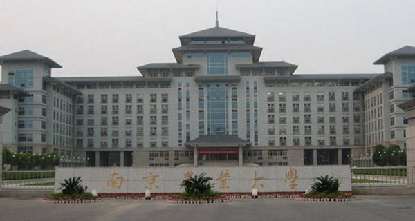 南京农业大学2016年高考录取结果查询入口