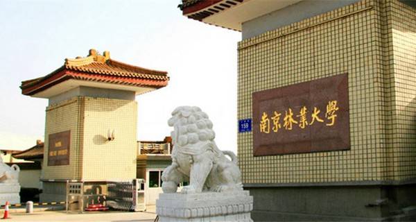 南京林业大学2016年高考录取结果查询入口