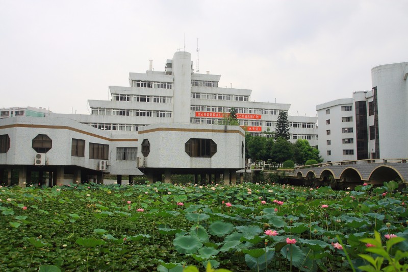 广西财经学院有几个校区及校区地址