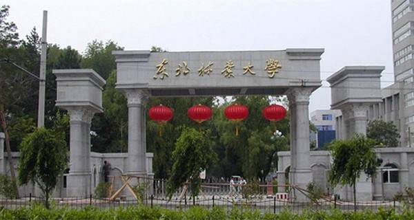 2017黑龙江211大学名单有哪些