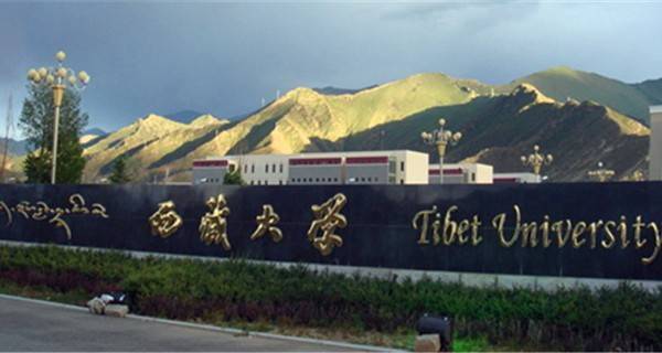 西藏大学排名2016全国排名第166名