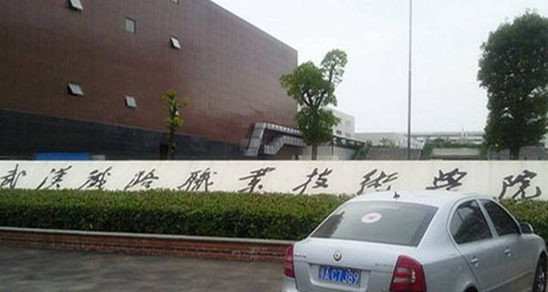 2017年武汉铁路职业技术学院单独招生章程