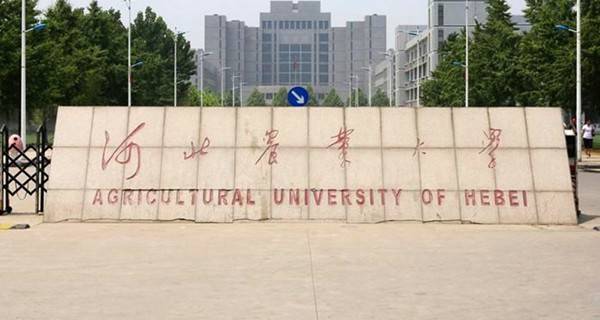 河北农业大学专业排名最好的专业有哪些