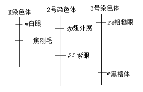 2019年安徽高考理综试题【精校版】