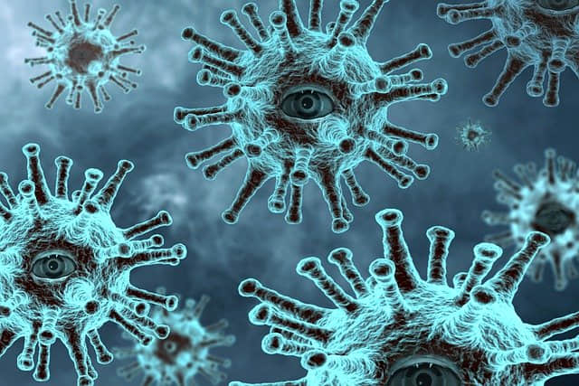 病毒是单细胞生物吗？病毒特征的特征是什么