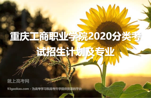 重庆工商职业学院2020分类考试招生计划及专业