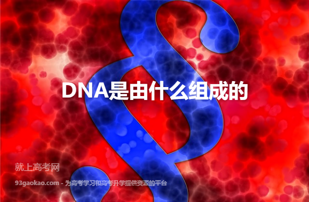DNA是由什么组成的 dna是什么的缩写