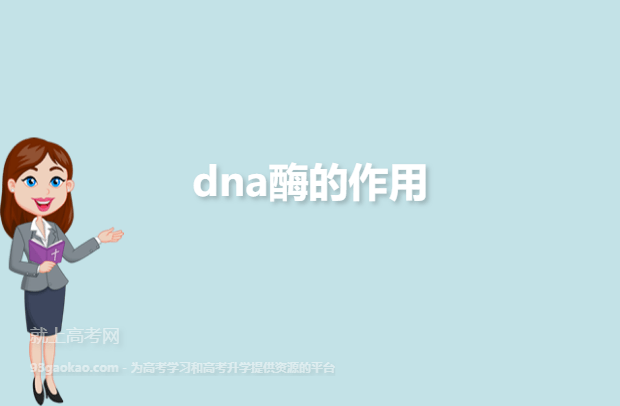 dna酶的作用