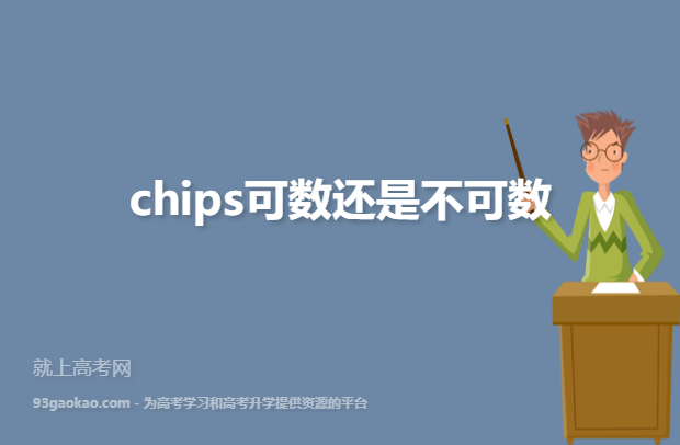chips可数还是不可数
