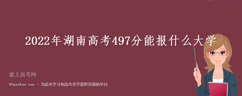 2022年湖南高考497分能报什么大学