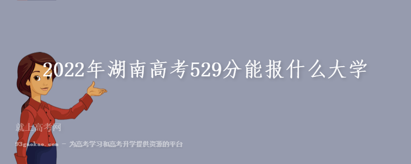 2022年湖南高考529分能报什么大学