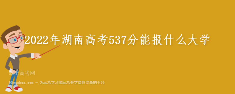 2022年湖南高考537分能报什么大学