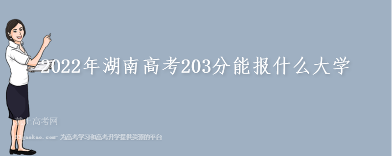 2022年湖南高考203分能报什么大学