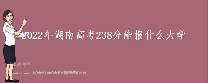 2022年湖南高考238分能报什么大学