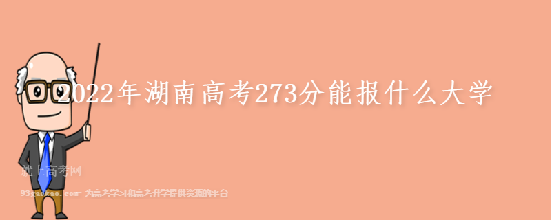 2022年湖南高考273分能报什么大学