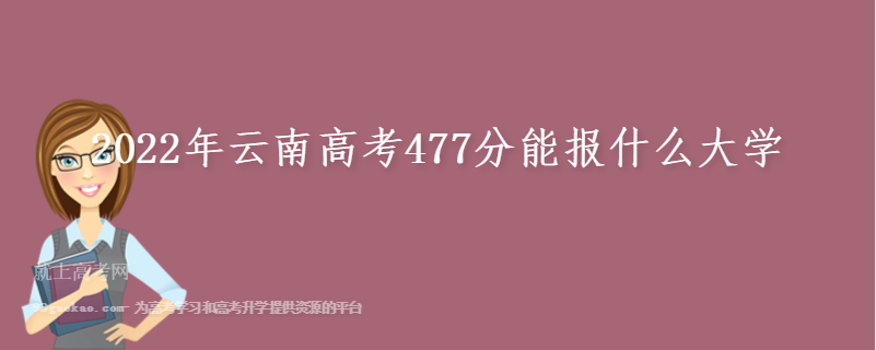 2022年云南高考477分能报什么大学