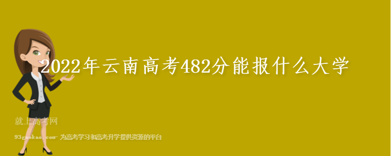 2022年云南高考482分能报什么大学