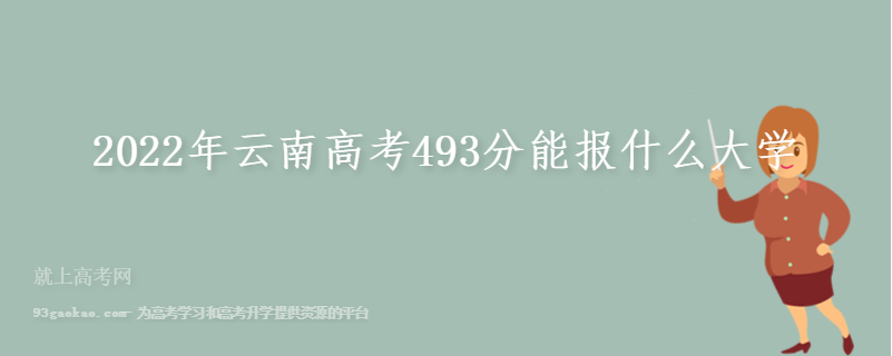 2022年云南高考493分能报什么大学