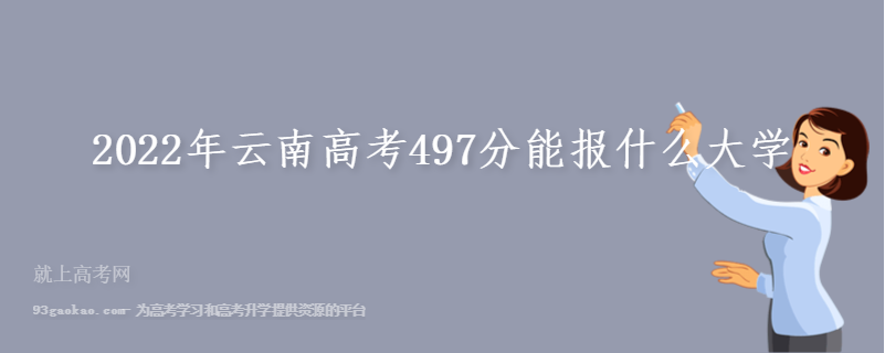 2022年云南高考497分能报什么大学