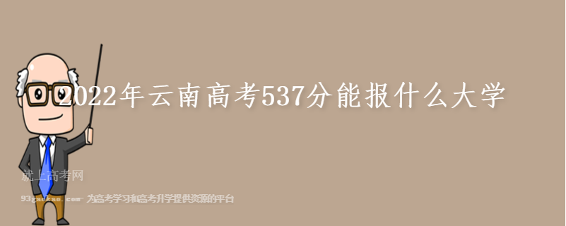2022年云南高考537分能报什么大学