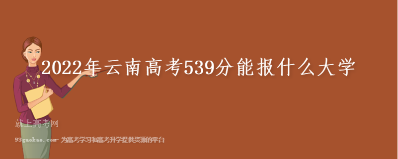 2022年云南高考539分能报什么大学